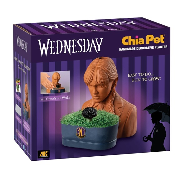 Chia Pet Wednesday w/ Seed Pack Decorative Pottery Planter Grow DIY Adams Family - Picture 4 of 5